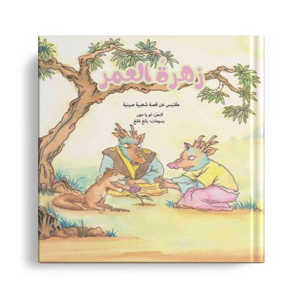 زهرة العمر